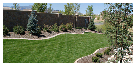 Landscape Depot Serves Premont, McAllen, Edinburg, Corpus Christi, TX. - Landscape Depot Serves Premont, McAllen, Edinburg, Corpus Christi, TX.
