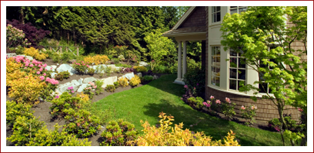 Landscape Depot Serves Premont, McAllen, Edinburg, Corpus Christi, TX. - Landscape Depot Serves Premont, McAllen, Edinburg, Corpus Christi, TX.