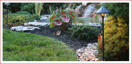 Landscape Depot Serves Premont, McAllen, Edinburg, Corpus Christi, TX. - Landscape Depot Serves Premont, McAllen, Edinburg, Corpus Christi, TX.
